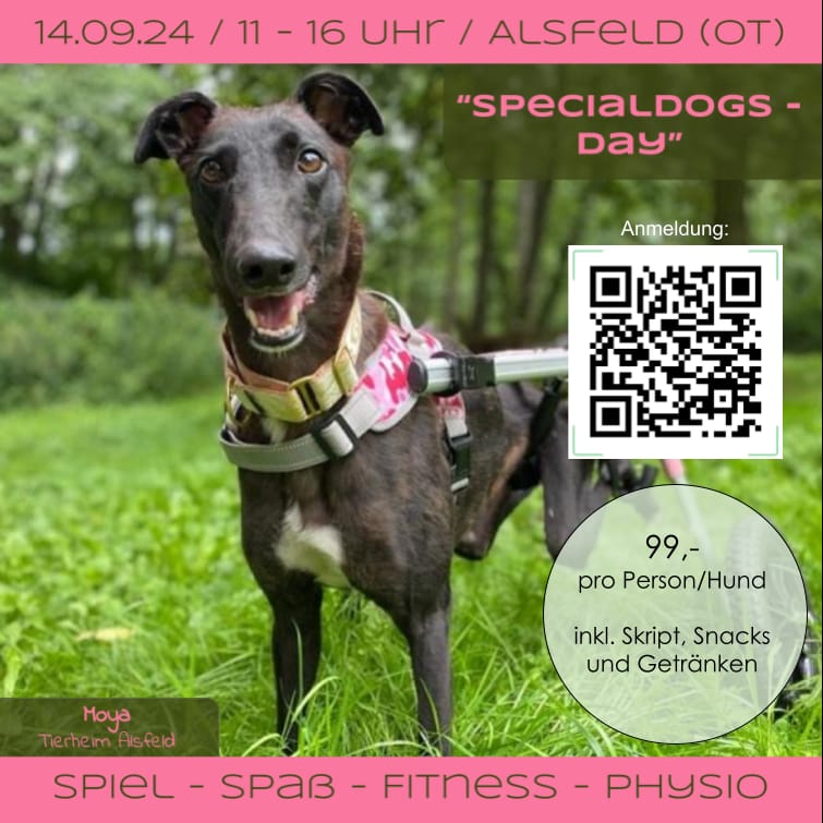 specialdogs day 09 24 2