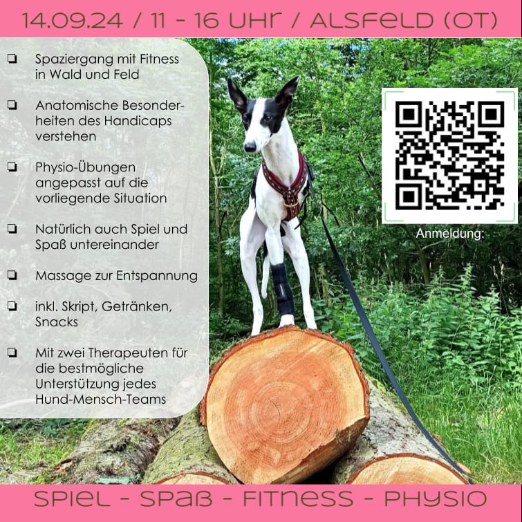 specialdogs day 09 24