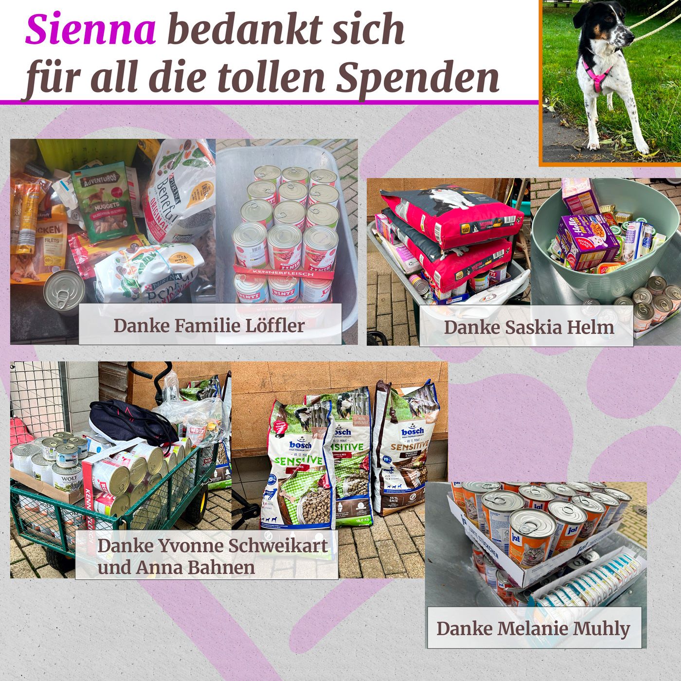 spenden 19 10 24 1