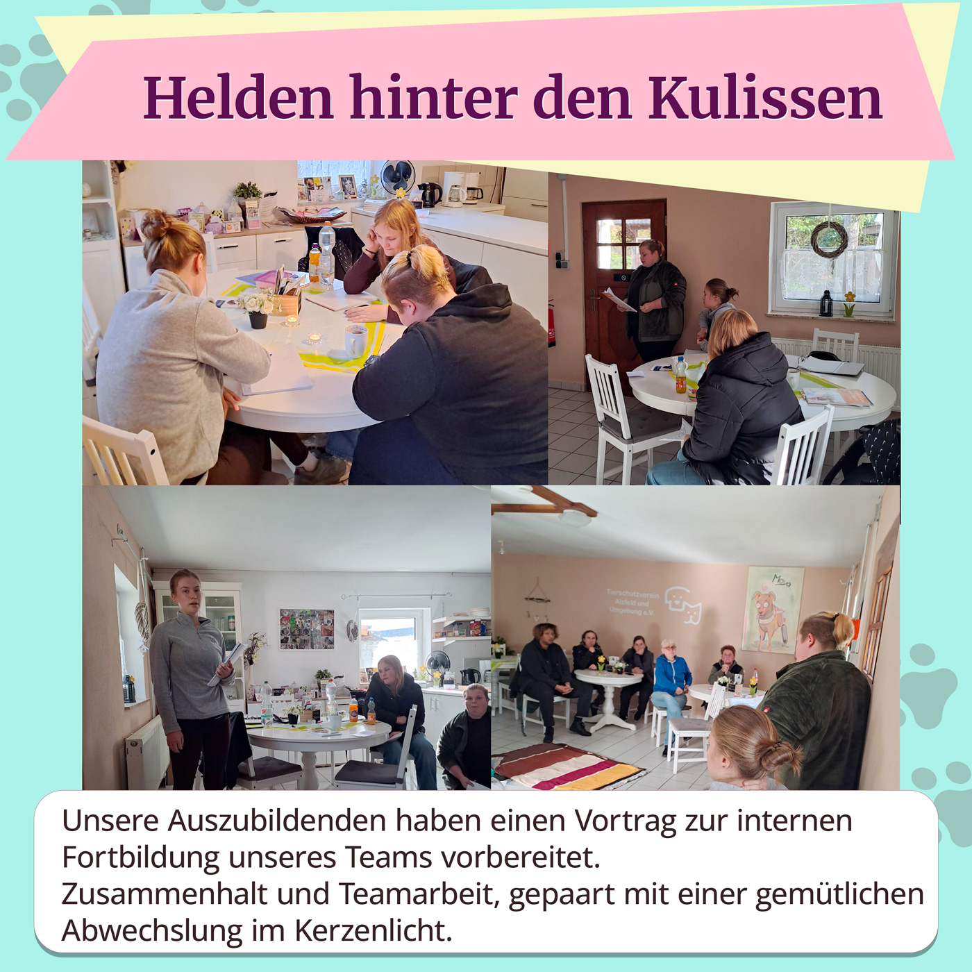 tierheimhelden azubis