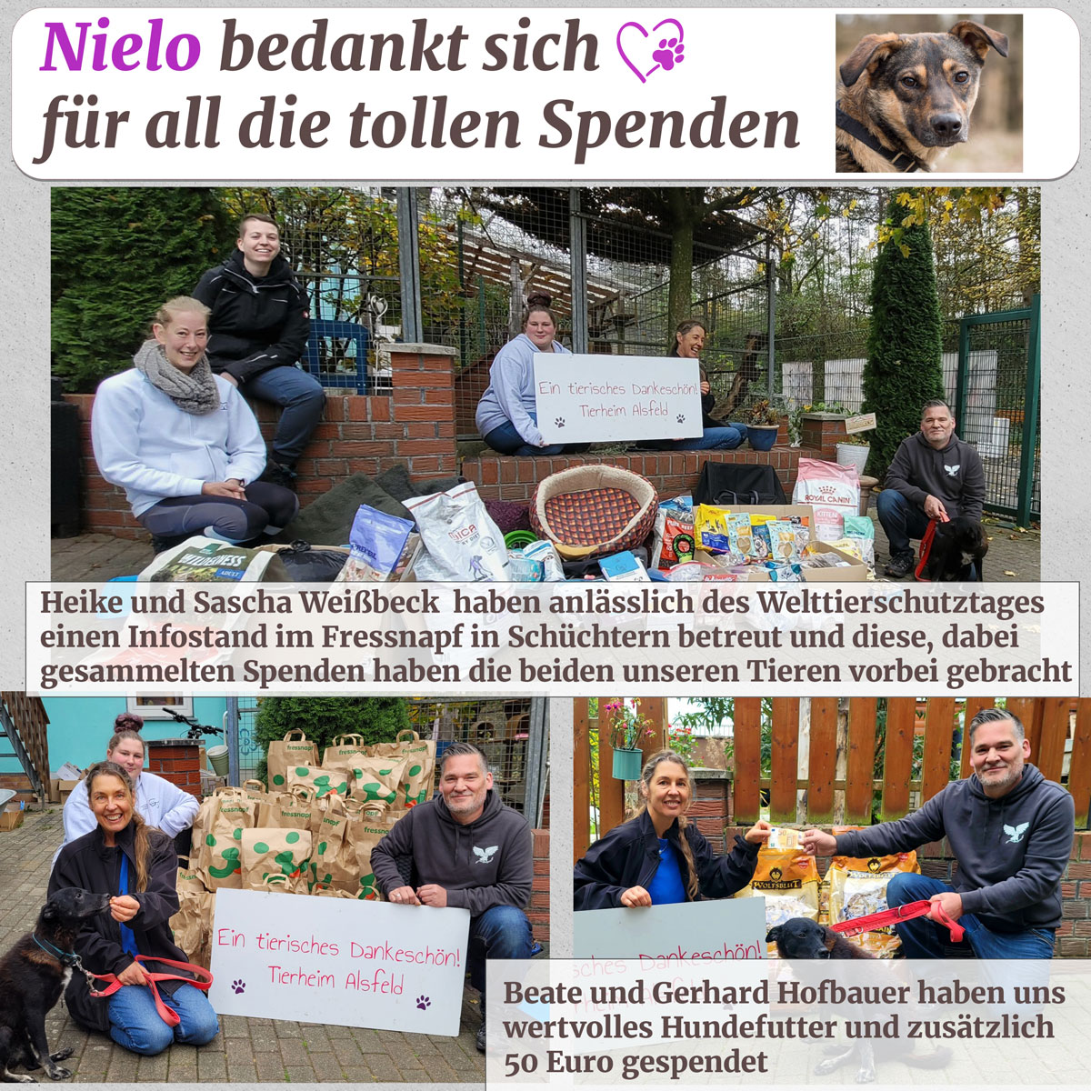 spenden 23 11 24 3