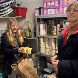 weihnacht24-fressnapf-11