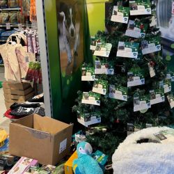 weihnacht24-fressnapf-2