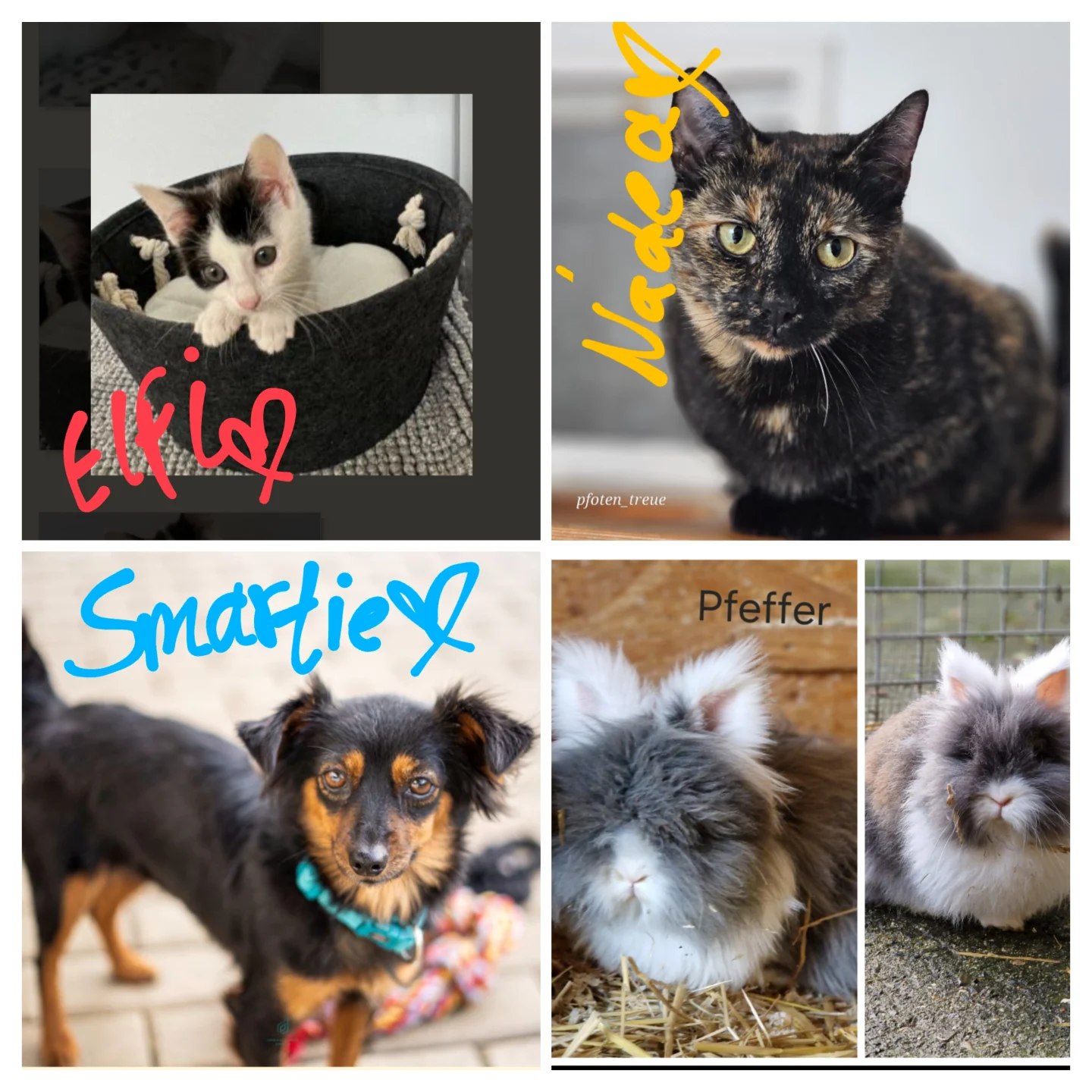 hallohessen 02 12 24