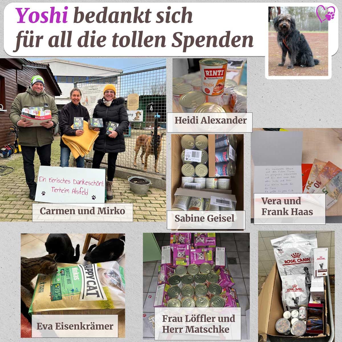 spenden 21 12 2024 1