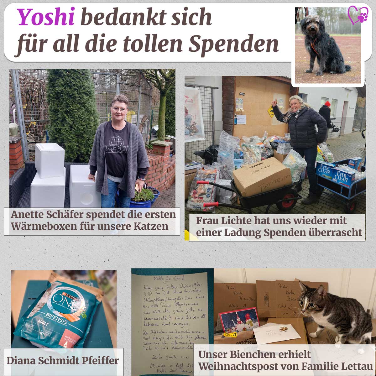 spenden 21 12 2024 2