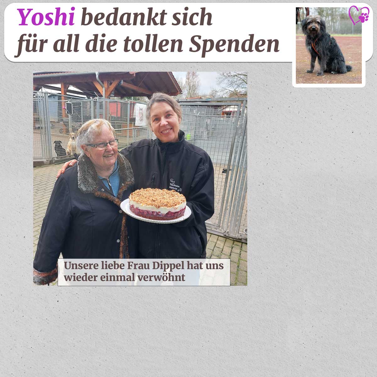 spenden 21 12 2024 5