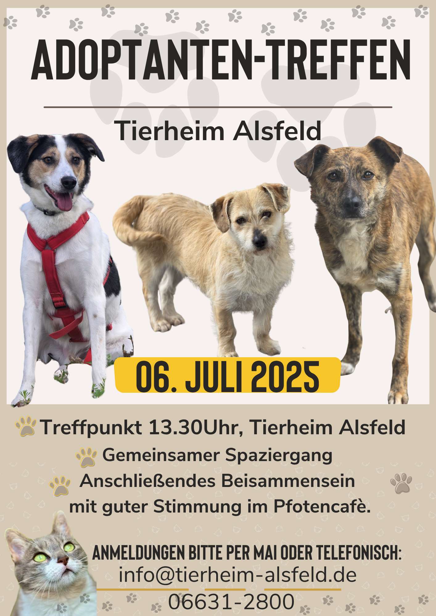 adoptanten treffen