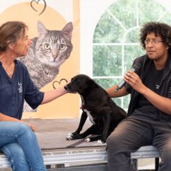 hundevorstellung-2025-1