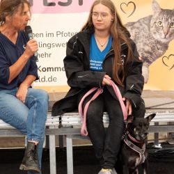 hundevorstellung-2025-10