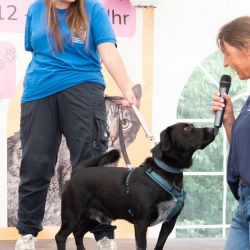 hundevorstellung-2025-12