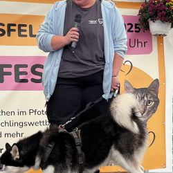 hundevorstellung-2025-15