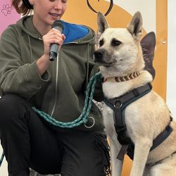 hundevorstellung-2025-20