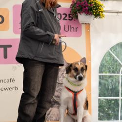 hundevorstellung-2025-3