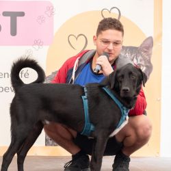 hundevorstellung-2025-5