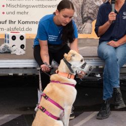 hundevorstellung-2025-7