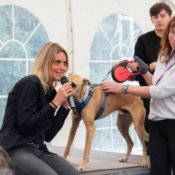 mischlingswettbewerb-2025-1