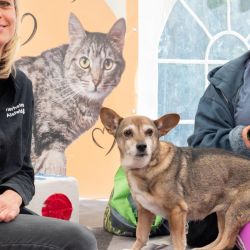 mischlingswettbewerb-2025-11