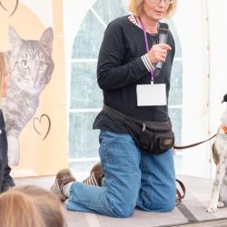 mischlingswettbewerb-2025-2