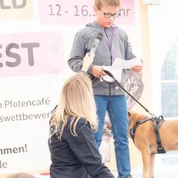 mischlingswettbewerb-2025-3