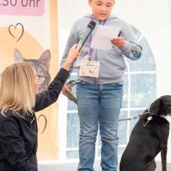 mischlingswettbewerb-2025-4