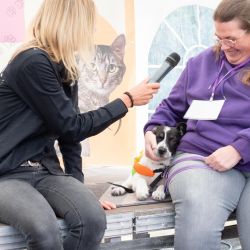 mischlingswettbewerb-2025-5