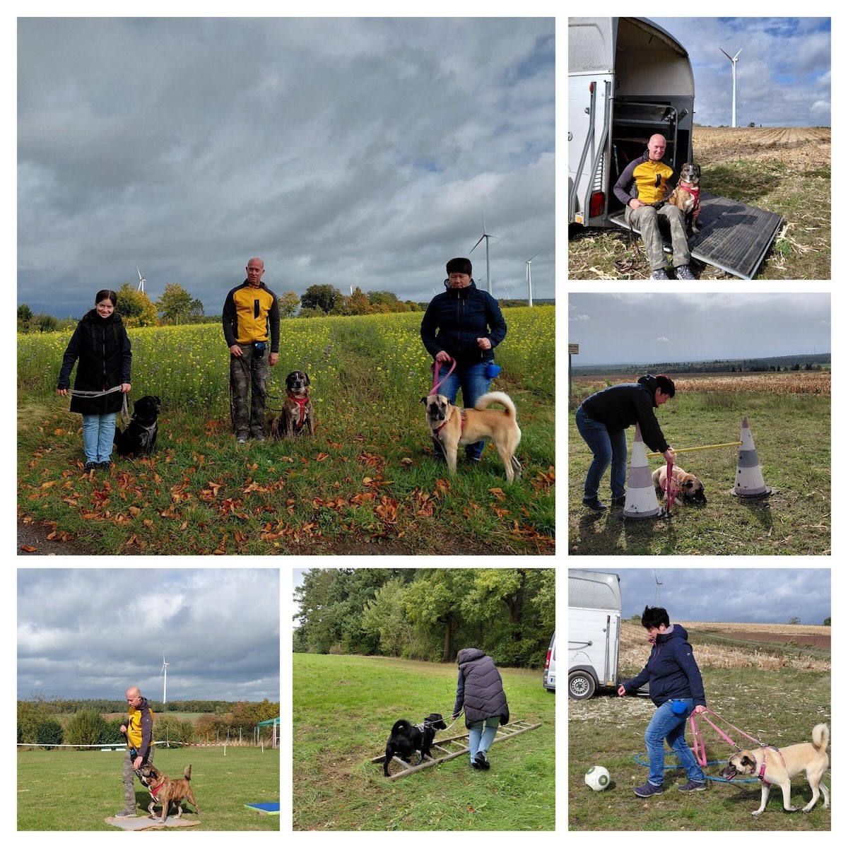 hundetrail 05 10 25