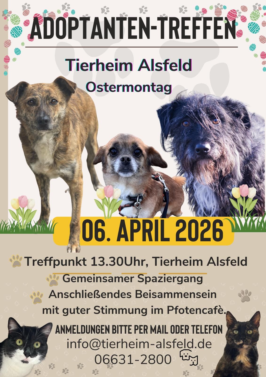 adoptantentreffen 04 26