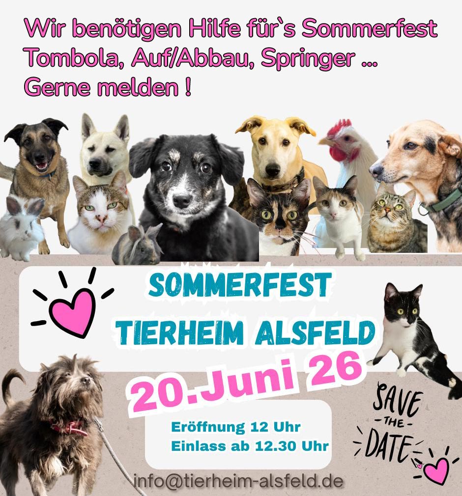 sommerfest hilfe