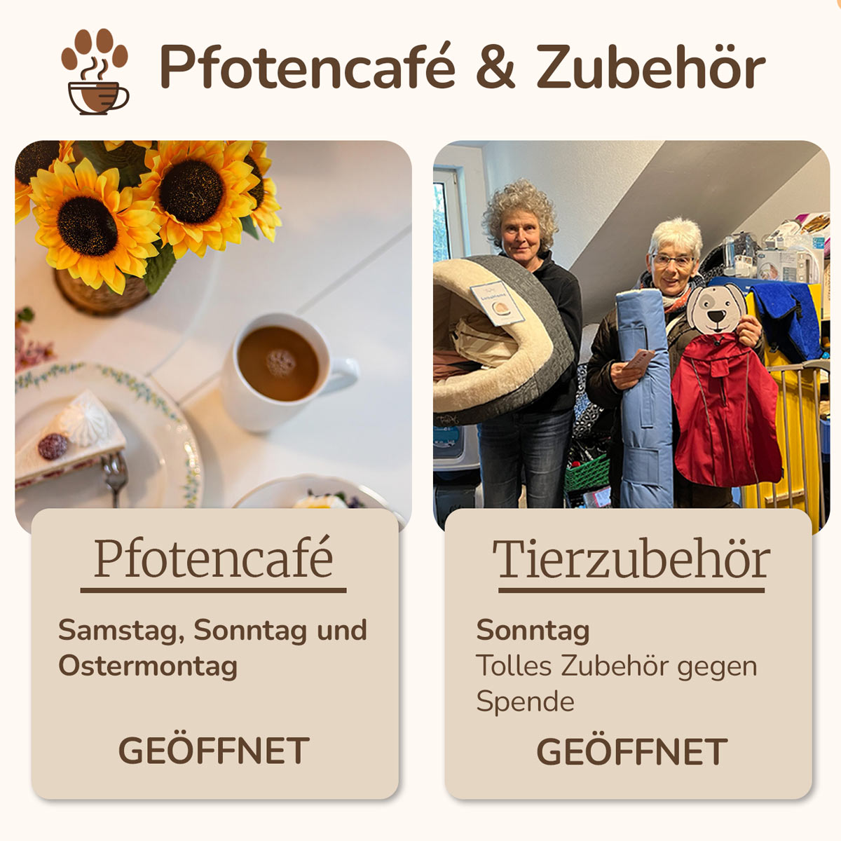 spendenzimmer und pfotencafe