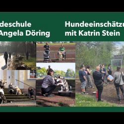 Mitgliederversammlung-Prasentation_13-013