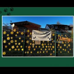 Mitgliederversammlung-Prasentation_15-015