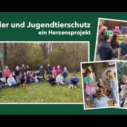 Mitgliederversammlung-Prasentation_17-017
