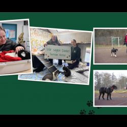 Mitgliederversammlung-Prasentation_20-020