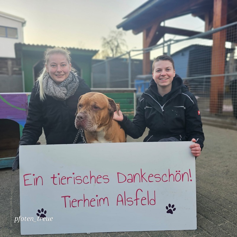 Danke Herbst Winter 5