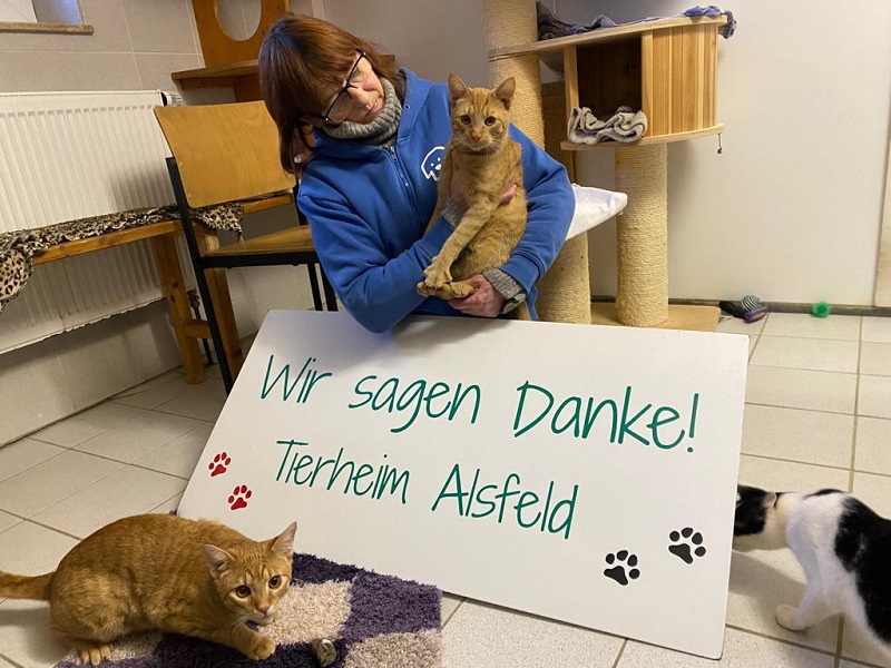 Danke Herbst Winter 6