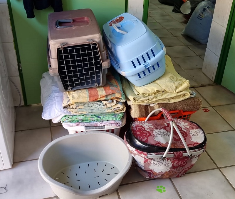 Spende Stielert Quanz