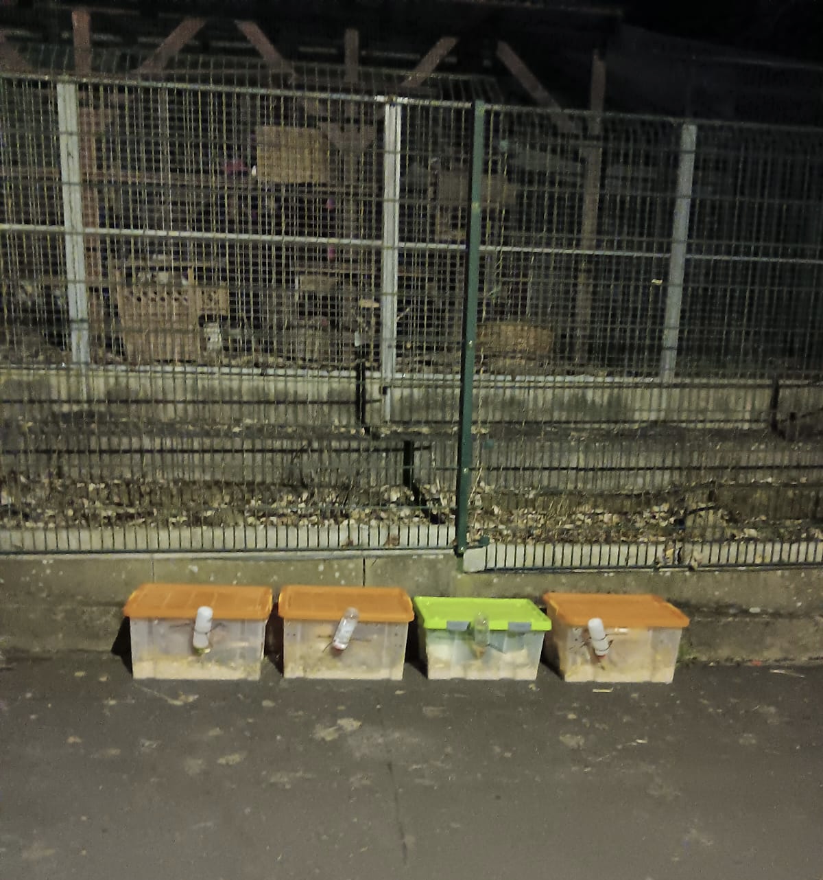 cfcd899e 2f1d 4b03 b851 166c49bfd3c4