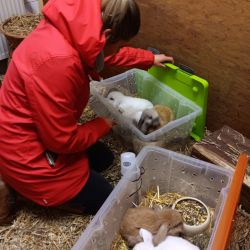 640e3fd6-afd5-44a5-a3e9-eb1337808ef8