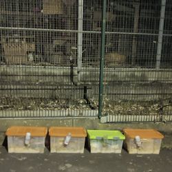 cfcd899e-2f1d-4b03-b851-166c49bfd3c4