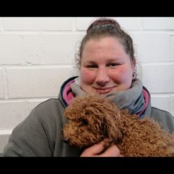 254526ea-a4cd-4527-8d67-53729e3432c4_1