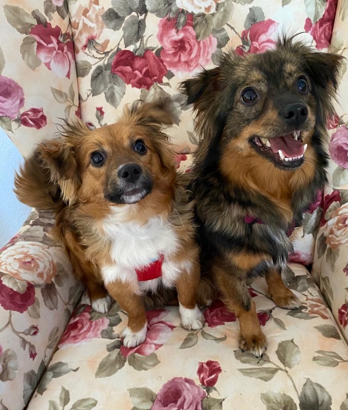 Queenie und Mamuschka