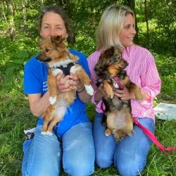 Queenie_und_Mamuschka_3