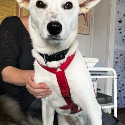 Tuula_Physiotherapie