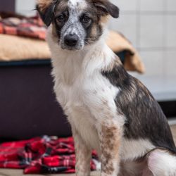 Hermine_04