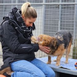 7879ab6a-5fee-42c7-8682-5bbb18e4fa9a