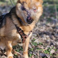 b2afa342-2e80-4923-a981-a3871e8b887a