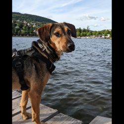 b220fbe9-4e16-4eb3-8439-a3da09b72a91