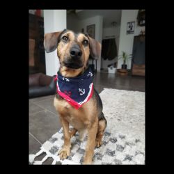 bcfe3f9c-504e-49cd-b419-8d44ebf1678b