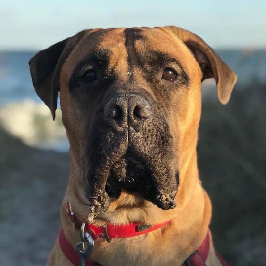 Wilma Titel Kopfbild